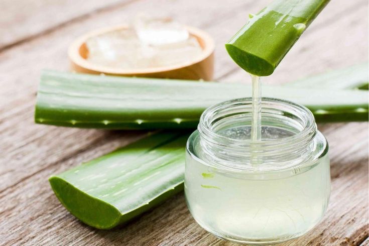 Tanaman Lidah Buaya yang Menyimpan Banyak Manfaat untuk Tubuh
